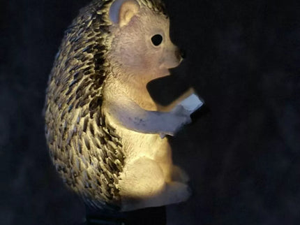 LED Sodo Lempa ežio Formos