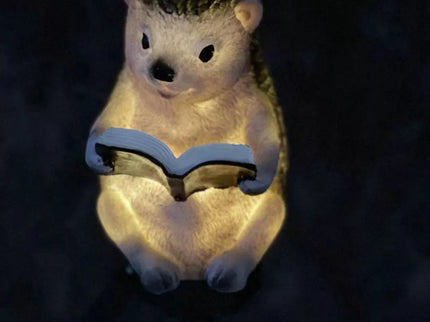 LED Sodo Lempa ežio Formos