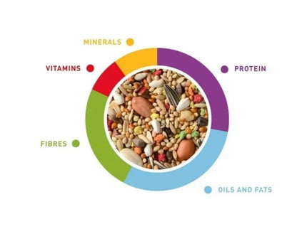 Food for Medium Parrots (Cockatiels, Lovebirds) Padovan Grandmix Parrocchetti 400 g