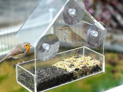 Lesyklėlė, kabinama ant stiklo