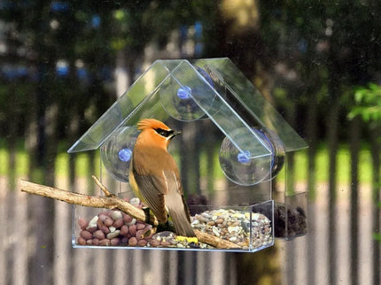 Lesyklėlė, kabinama ant stiklo