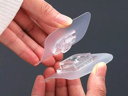 Lipnus sieninis Laikiklis