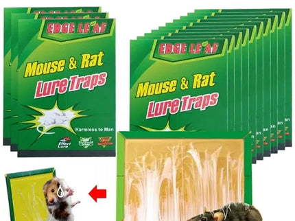 Lipnus spąstai pelėms