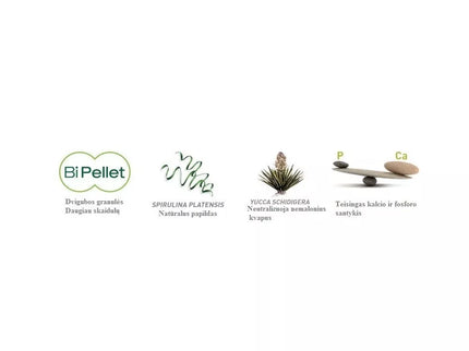 Maistas dekoratyviniams triušiams Wellness Adult 1 kg