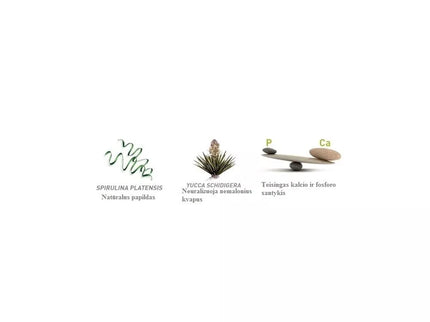 Wellness Young Decorative Rabbit Food 1 kg