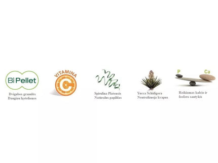 Maistas jūrų kiaulytėms Wellness Guinea Pigs 1 kg