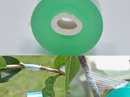 Medelių skiepijimo juostelė