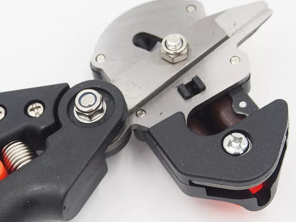 Medelių skiepijimo sekatorius