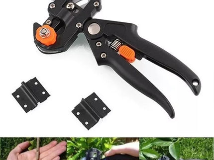 Medelių skiepijimo sekatorius