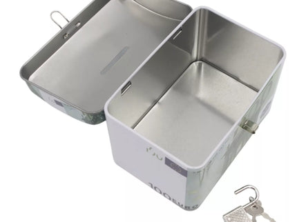 Metalinis taupyklės seifas su spynelė ir euro banknotų dizainu