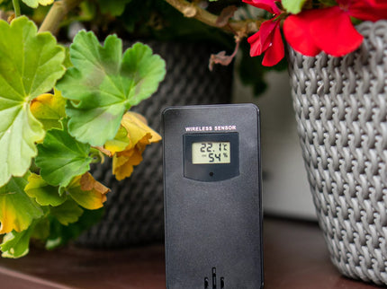 Meteorologinė stotelė RCC, DCF –belaidė