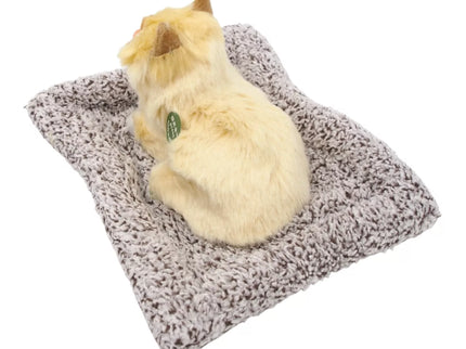 Mielai murkianti žaislinė katytė su guoliu