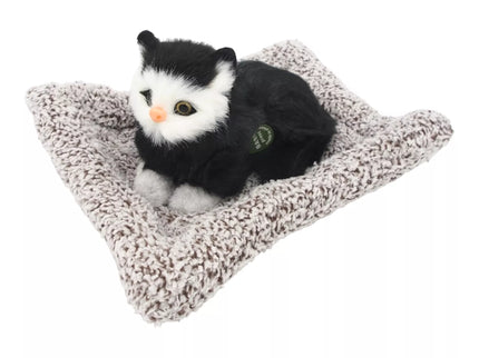 Mielai murkianti žaislinė katytė su guoliu