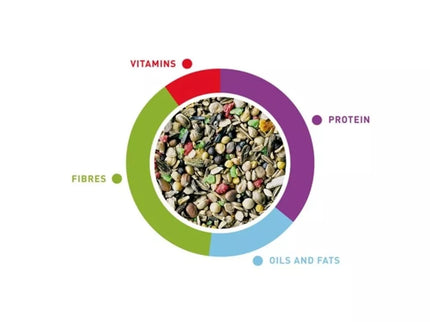 Sėklų mišinys paukščiams Padovan MelodyMix 300 g