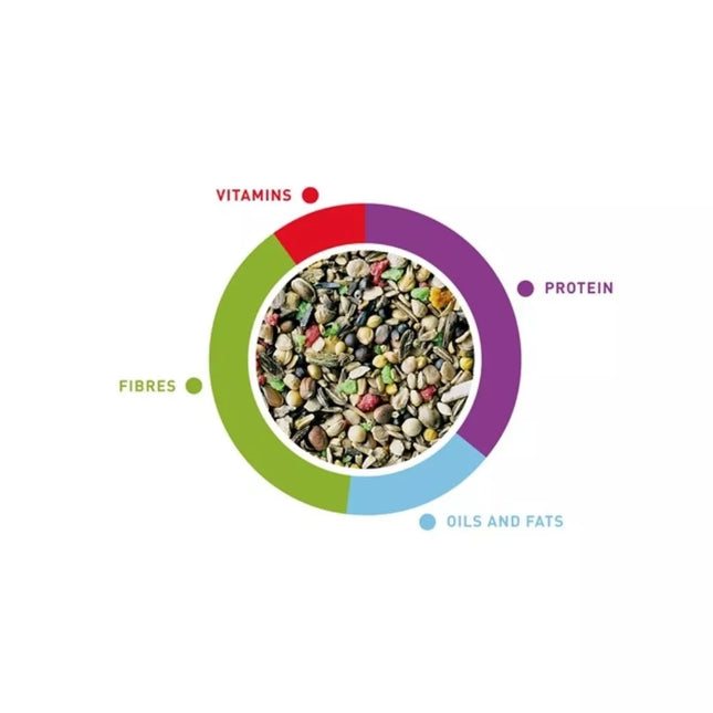 Bird Seed Mix Padovan MelodyMix 300 g