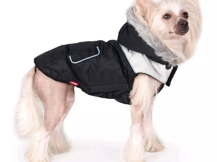 Montana striukė šunims, 20 cm