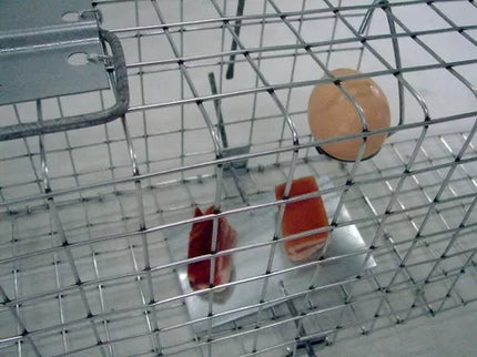 Narvas spąstai 50X17X20cm