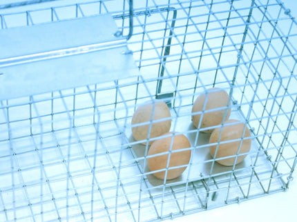 Narvas spąstai 65X17X20 (du įėjimai)