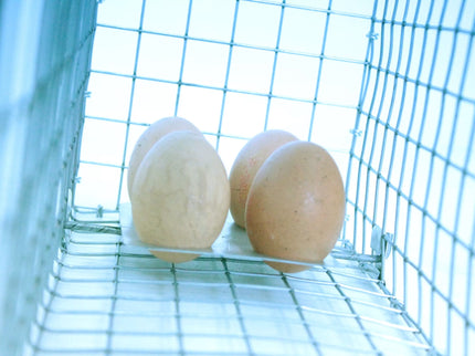 Narvas spąstai 65X17X20 (du įėjimai)