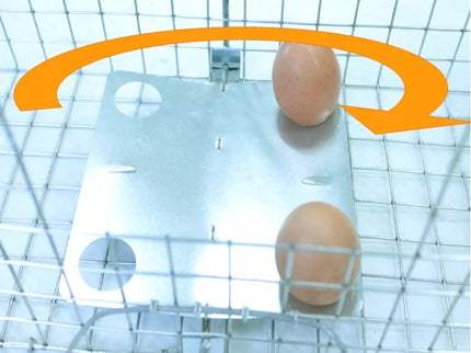 Narvas, gaudyklė 102x17x20