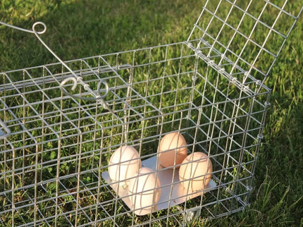 Narvas, gaudyklė 102x17x20