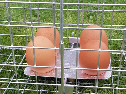 Narvas, gaudyklė 150x29x31 cm