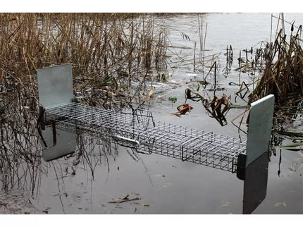 Narvas-gaudyklė spąstai 150x34x34 cm STRONG