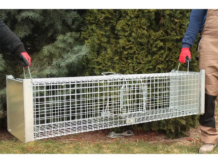 Narvas-gaudyklė spąstai 150x34x34 cm STRONG