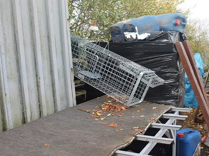 Narvas, spąstai, gaudyklė su kamera jaukui