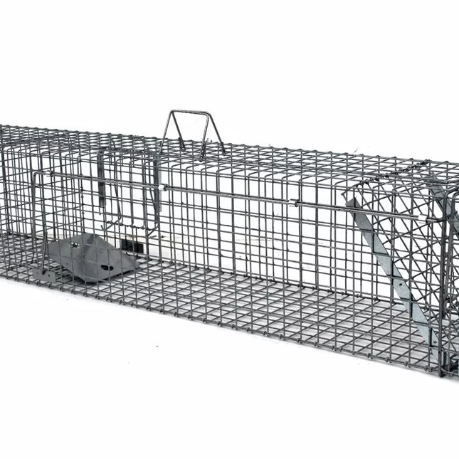 Narvas, spąstai, gaudyklė su kamera jaukui