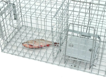 Narvas, spąstai, gaudyklė su kamera jaukui