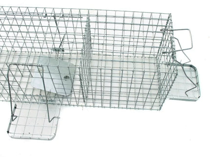 Narvas, spąstai, gaudyklė su kamera jaukui