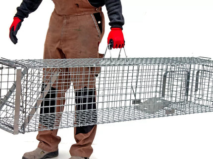 Narvas, spąstai, gaudyklė su kamera jaukui