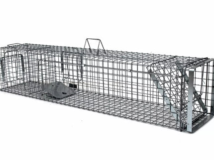 Narvas, spąstai, gaudyklė su kamera jaukui