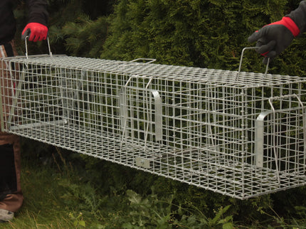 Narvas, spąstai, gaudyklė su kamera jaukui