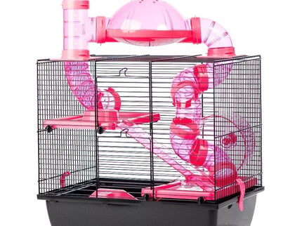 Narvas graužikams Rocky