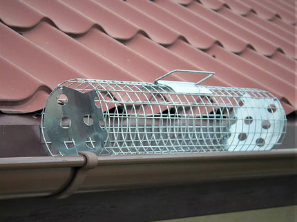 Narvas spąstai - vandens latakui