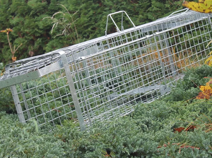 Cage Trap 102x34x34 HARDY