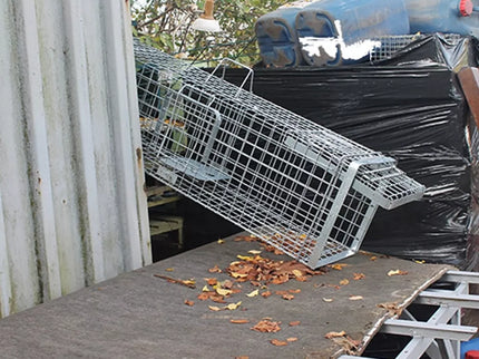Cage Trap 102x34x34 HARDY