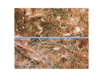 Kokosų pluoštas paukščių lizdams, 50 g