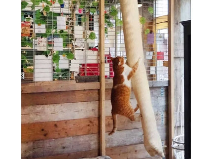 Hanging Scratching Post, 180 cm