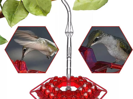 Hanging Bird Waterer