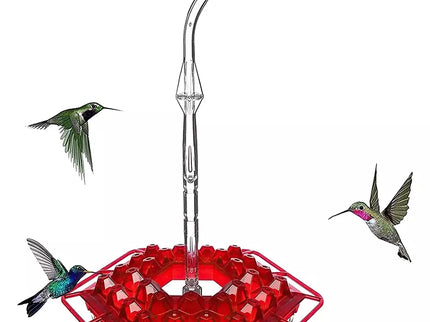 Hanging Bird Waterer