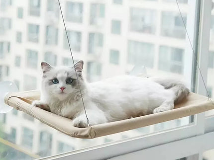 Pakabinamas Katės guolis