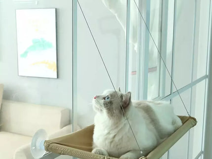 Pakabinamas Katės guolis