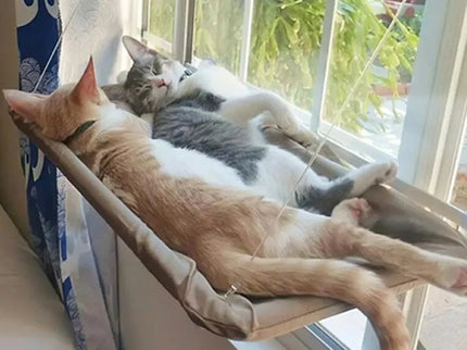 Pakabinamas Katės guolis