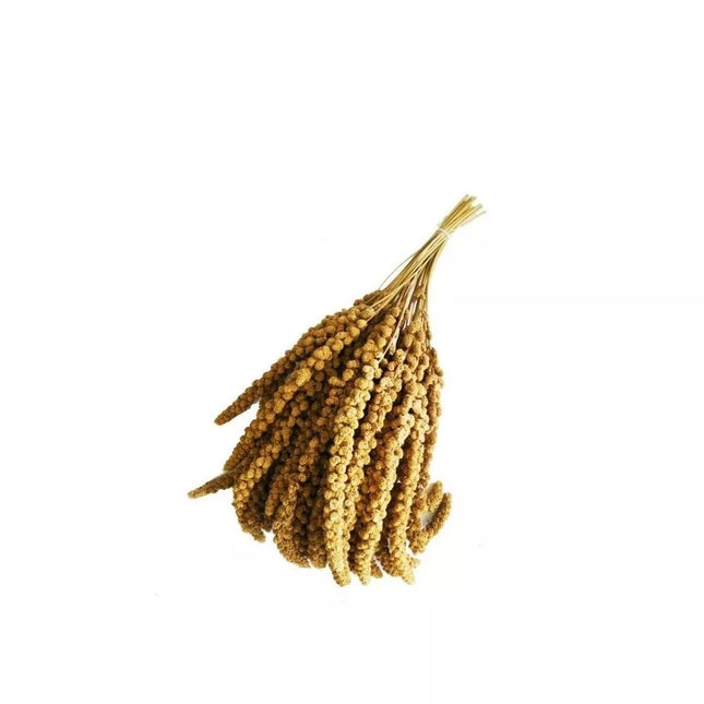 Millet Spikes for Birds Panico in Spiga 1 kg