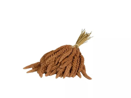 Panico Rosso in Spiga sorų kekės paukščiams 1 kg