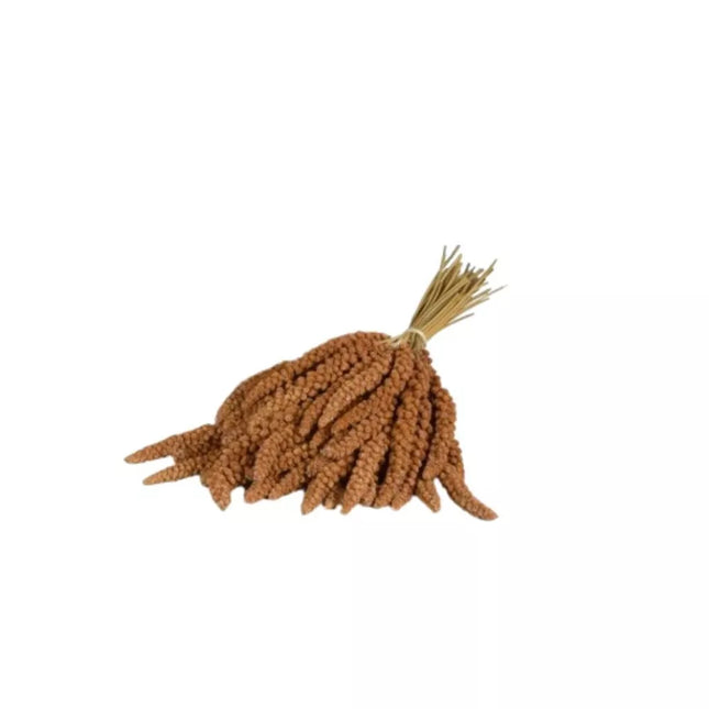 Panico Rosso in Spiga Millet Sticks for Birds 1 kg