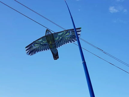 8M Kite Frame